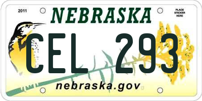 NE license plate CEL293