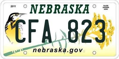 NE license plate CFA823