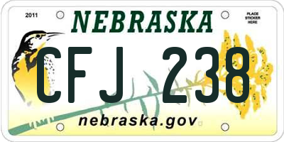 NE license plate CFJ238