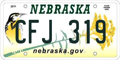NE license plate CFJ319