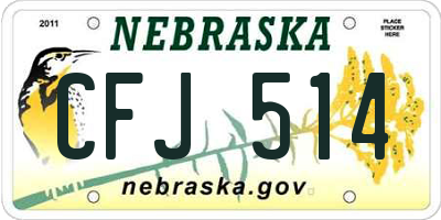 NE license plate CFJ514
