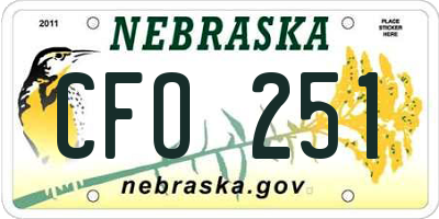 NE license plate CFO251
