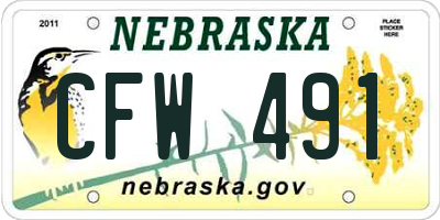 NE license plate CFW491