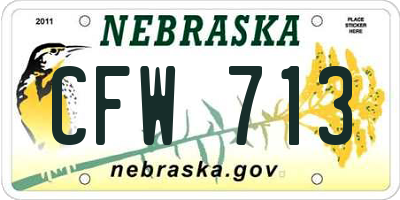 NE license plate CFW713
