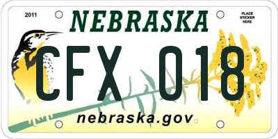 NE license plate CFX018