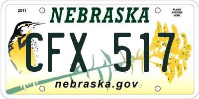 NE license plate CFX517