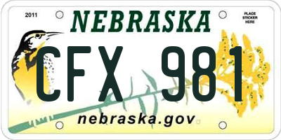NE license plate CFX981