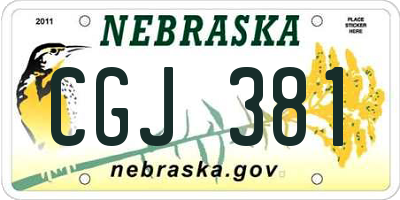 NE license plate CGJ381