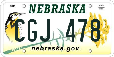 NE license plate CGJ478