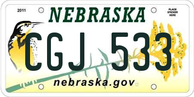 NE license plate CGJ533
