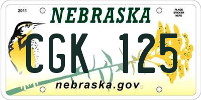 NE license plate CGK125