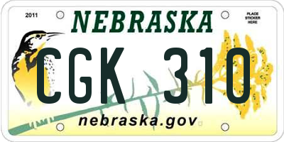 NE license plate CGK310