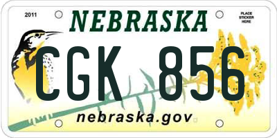 NE license plate CGK856