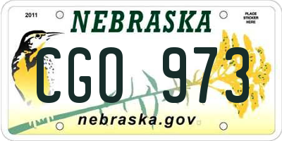 NE license plate CGO973