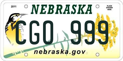 NE license plate CGO999