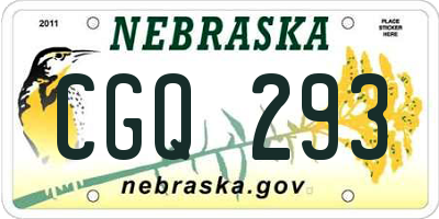 NE license plate CGQ293