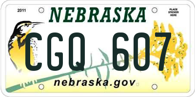 NE license plate CGQ607