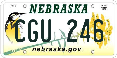 NE license plate CGU246