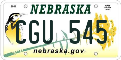 NE license plate CGU545