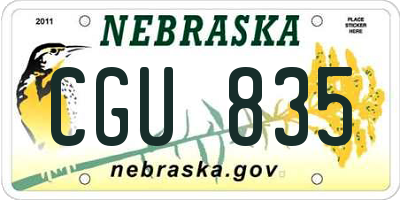 NE license plate CGU835