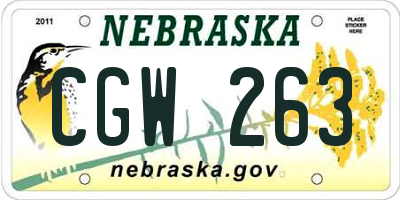 NE license plate CGW263