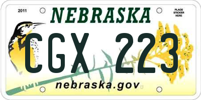 NE license plate CGX223