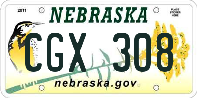 NE license plate CGX308