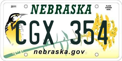 NE license plate CGX354