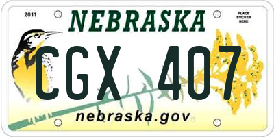 NE license plate CGX407