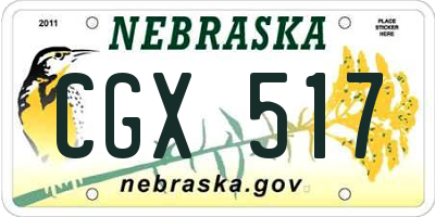 NE license plate CGX517