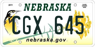 NE license plate CGX645