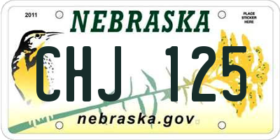 NE license plate CHJ125
