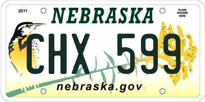 NE license plate CHX599