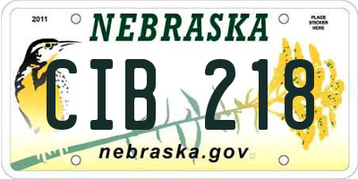 NE license plate CIB218