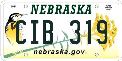 NE license plate CIB319