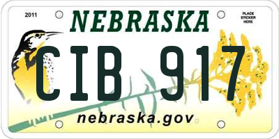 NE license plate CIB917