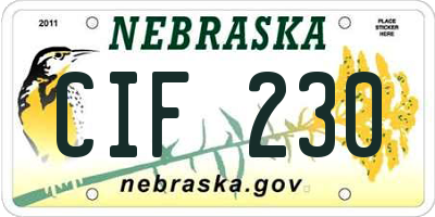 NE license plate CIF230