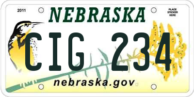 NE license plate CIG234