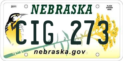 NE license plate CIG273
