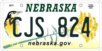 NE license plate CJS824