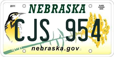 NE license plate CJS954