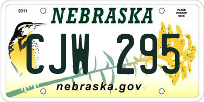 NE license plate CJW295