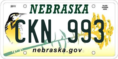 NE license plate CKN993