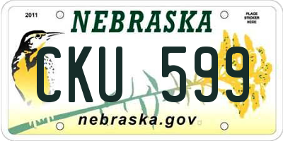 NE license plate CKU599