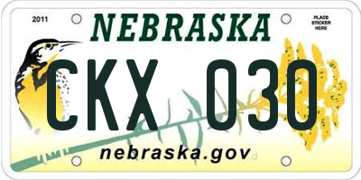 NE license plate CKX030