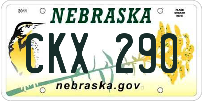 NE license plate CKX290