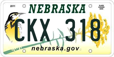 NE license plate CKX318