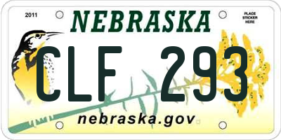 NE license plate CLF293