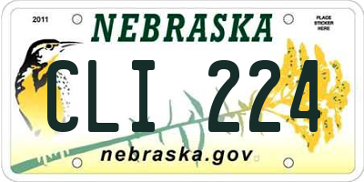 NE license plate CLI224