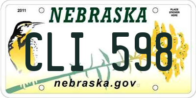 NE license plate CLI598